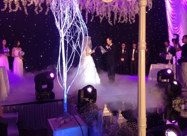 【宁波婚礼新郎致辞】-钻石小鸟体验店