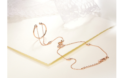 钻石小鸟_钻石小鸟收入(3)