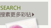 搜索